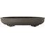 Pot à bonsaï ovale non émaillé de Yamaaki Toshio (troisième génération) - 395 x 277 x 70 mm