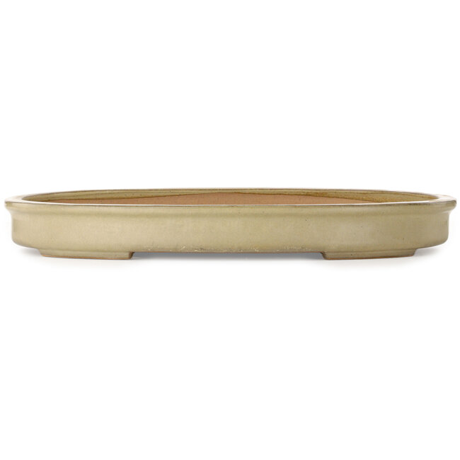 Oval off-white bonsai pot by Seizan (Reihou, Kataoka Katsushi, master Seizan kiln) - 580 x 405 x 70 mm