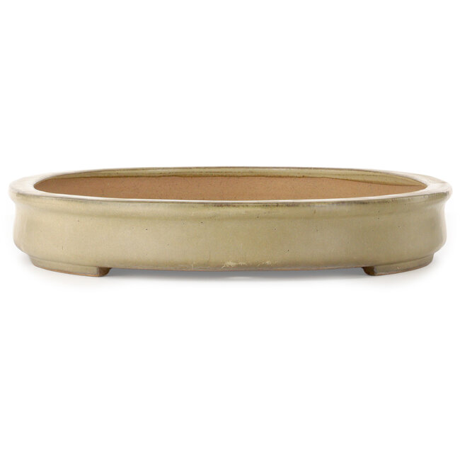 Oval off-white bonsai pot by Seizan (Reihou, Kataoka Katsushi, master Seizan kiln) - 580 x 405 x 70 mm