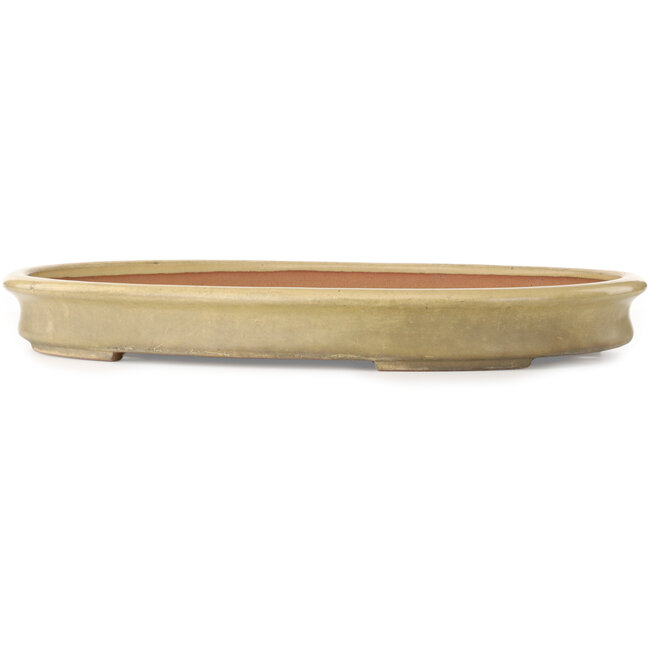 Oval off-white bonsai pot by Seizan (Reihou, Kataoka Katsushi, master Seizan kiln) - 585 x 423 x 67 mm