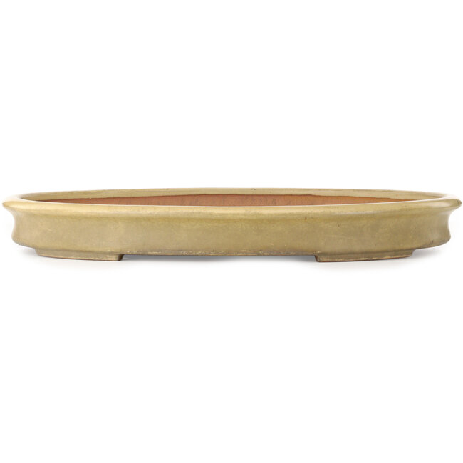 Oval off-white bonsai pot by Seizan (Reihou, Kataoka Katsushi, master Seizan kiln) - 585 x 423 x 67 mm