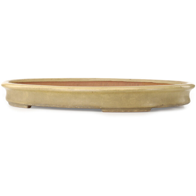 Ovaler, cremefarbener Bonsaitopf von Seizan (Reihou, Kataoka Katsushi, Meister Seizan-Ofen) – 585 x 423 x 67 mm