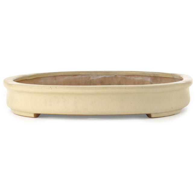 Oval off-white bonsai pot by Seizan (Reihou, Kataoka Katsushi, master Seizan kiln) - 577 x 408 x 65 mm