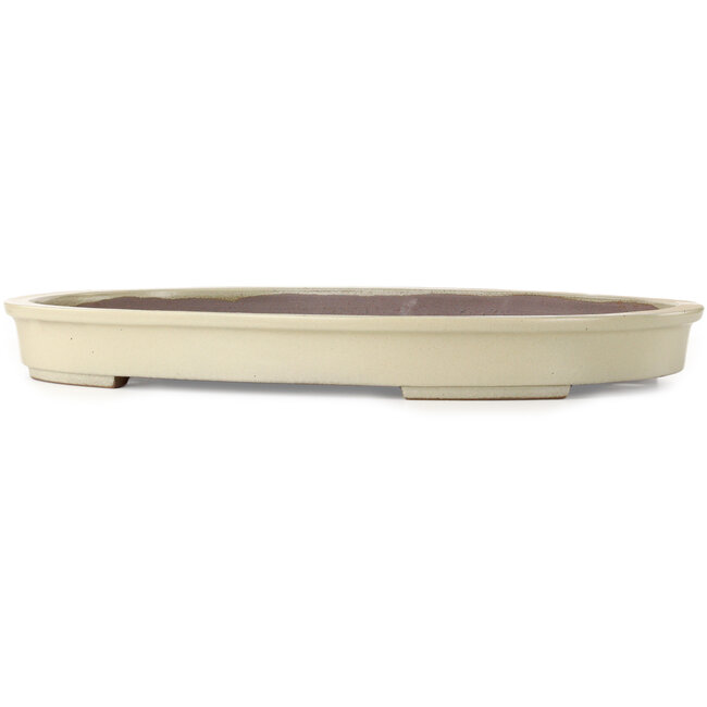 Pot à bonsaï ovale blanc cassé de Kakuzan - 610 x 420 x 65 mm