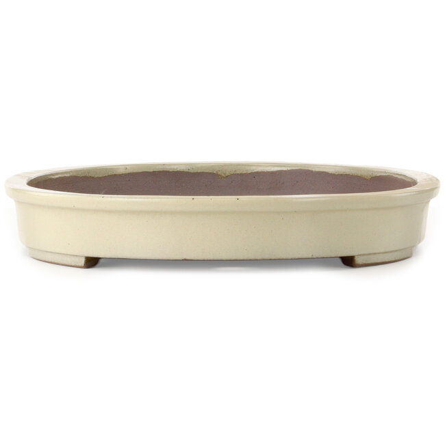 Oval off-white bonsai pot by Kakuzan - 610 x 420 x 65 mm