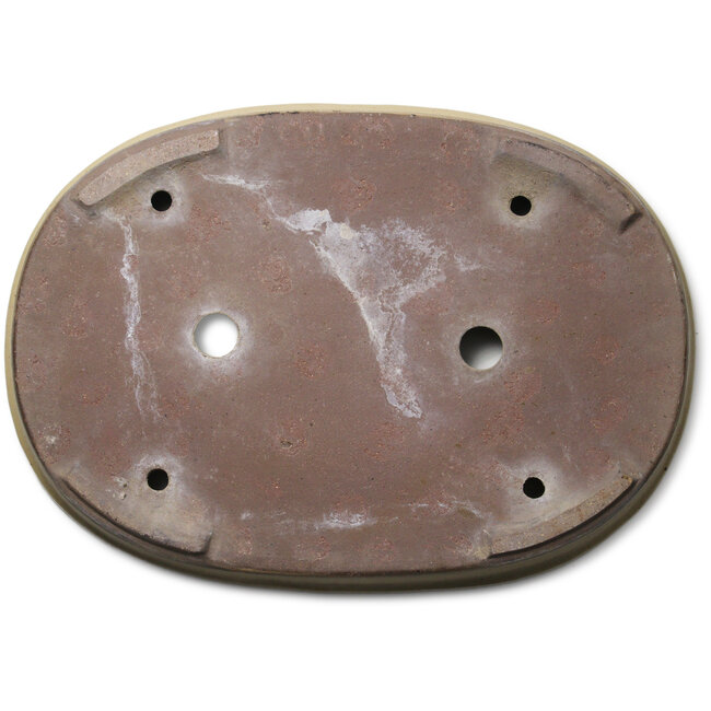 Ovale, gebroken witte bonsaipot - 660 x 470 x 85 mm