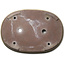 Pot à bonsaï ovale blanc cassé - 660 x 470 x 85 mm