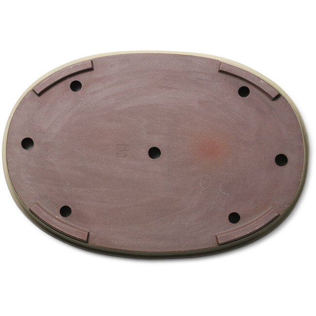 Pot à bonsaï ovale blanc cassé de Kakuzan - 610 x 420 x 65 mm