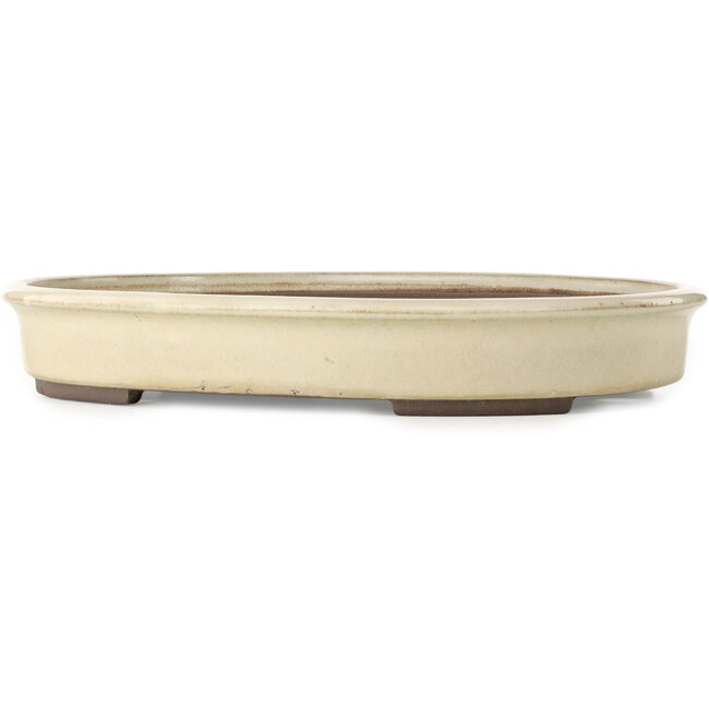 Vaso bonsai ovale bianco sporco di Yamaaki Toshio (terza generazione) - 465 x 363 x 70 mm