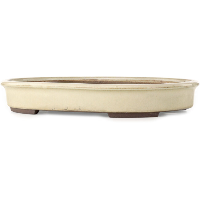Pot à bonsaï ovale blanc cassé de Yamaaki Toshio (troisième génération) - 465 x 363 x 70 mm