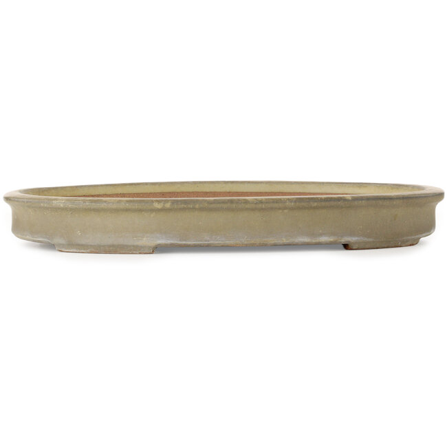 Maceta ovalada para bonsái de color blanquecino de Seizan (Reihou, Kataoka Katsushi, maestro del horno Seizan) - 510 x 357 x 60 mm