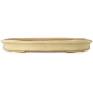 Seizan (Reihou, Kataoka Katsushi, master Seizan kiln) Pot à bonsaï ovale blanc cassé de 527 mm par Seizan (Reihou, Kataoka Katsushi, maître four Seizan), Tokoname, Japon