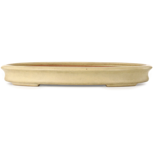 Oval off-white bonsai pot by Seizan (Reihou, Kataoka Katsushi, master Seizan kiln) - 527 x 375 x 65 mm