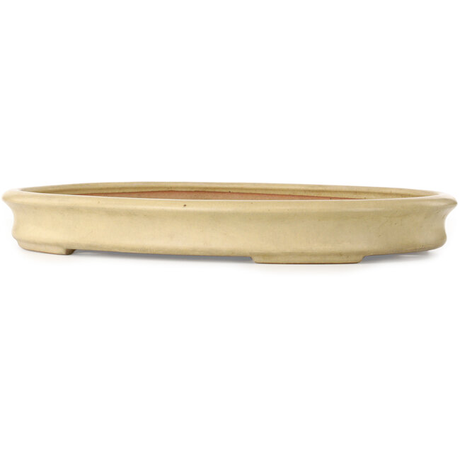 Oval off-white bonsai pot by Seizan (Reihou, Kataoka Katsushi, master Seizan kiln) - 527 x 375 x 65 mm