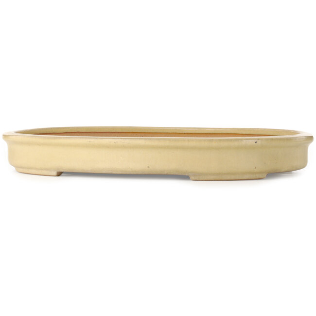 Oval off-white bonsai pot by Seizan (Reihou, Kataoka Katsushi, master Seizan kiln) - 525 x 375 x 63 mm