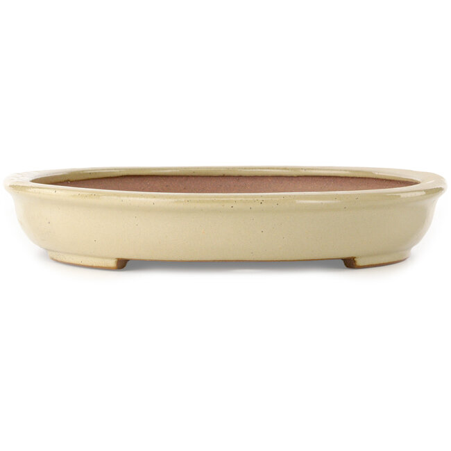 Oval off-white bonsai pot by Seizan (Reihou, Kataoka Katsushi, master Seizan kiln) - 454 x 330 x 55 mm