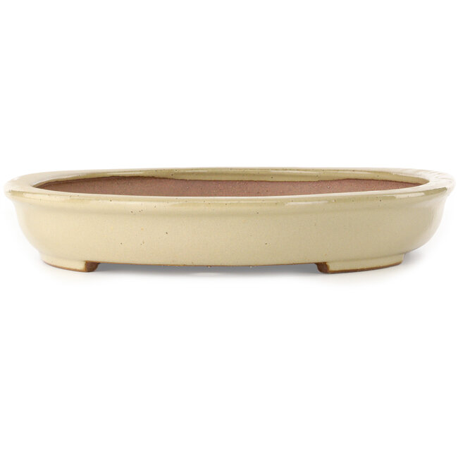 Oval off-white bonsai pot by Seizan (Reihou, Kataoka Katsushi, master Seizan kiln) - 454 x 330 x 55 mm
