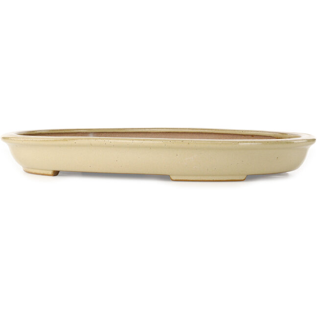 Vaso bonsai ovale bianco sporco di Seizan (Reihou, Kataoka Katsushi, forno del maestro Seizan) - 454 x 330 x 52 mm