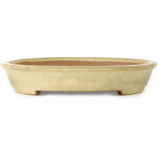 Oval off-white bonsai pot by Yamafusa - 470 x 355 x 65 mm