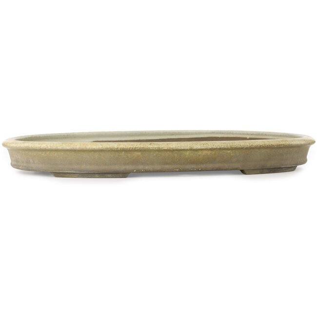 Pot à bonsaï ovale blanc cassé - 565 x 405 x 58 mm