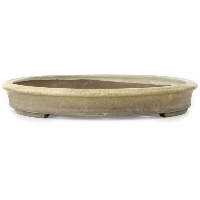 Oval off-white bonsai pot - 565 x 405 x 58 mm