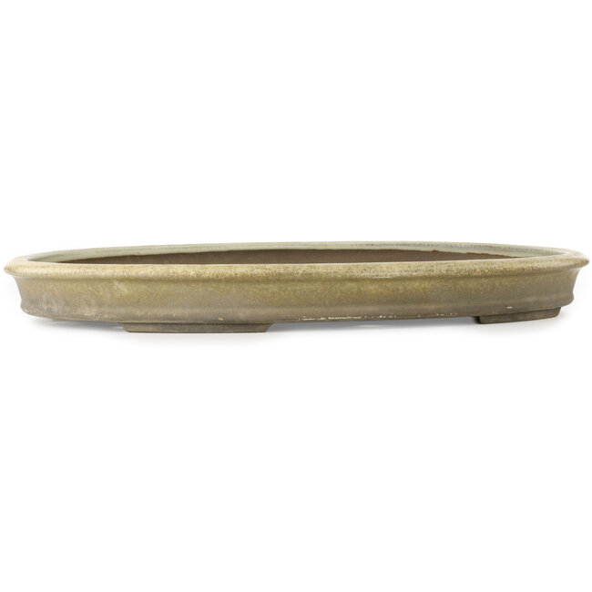 Oval off-white bonsai pot - 565 x 405 x 58 mm