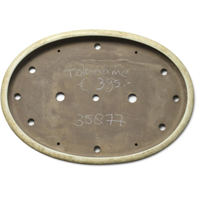 Ovaler, cremefarbener Bonsaitopf – 565 x 405 x 58 mm