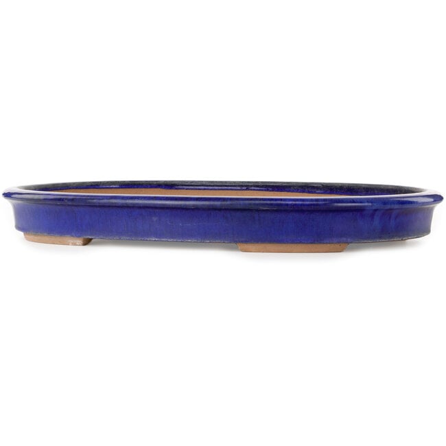 Pot ovale bleu pour bonsaï - 605 x 420 x 65 mm