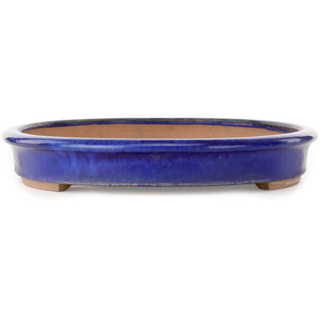 Pot ovale bleu pour bonsaï - 605 x 420 x 65 mm