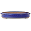 Ovaler blauer Bonsai-Topf – 605 x 420 x 65 mm