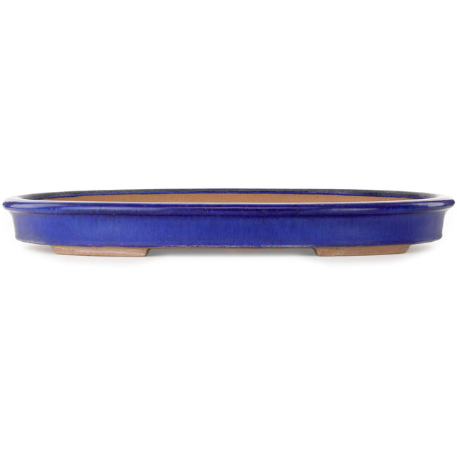 Pot ovale bleu pour bonsaï - 605 x 420 x 65 mm