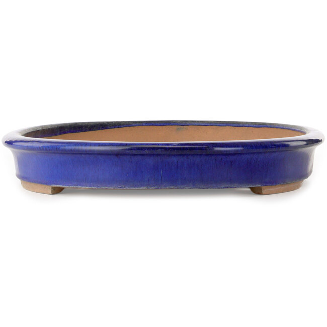 Vaso bonsai ovale blu - 605 x 420 x 65 mm