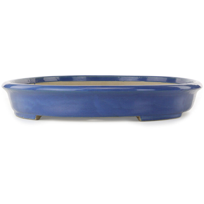 Vaso bonsai ovale blu di Terahata Satomi Mazan - 600 x 470 x 75 mm