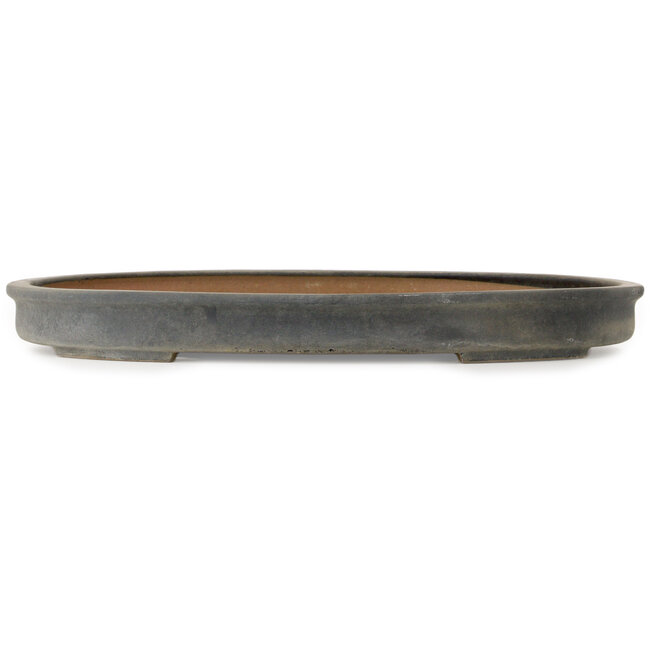 Oval blue bonsai pot by Seizan (Reihou, Kataoka Katsushi, master Seizan kiln) - 650 x 458 x 70 mm