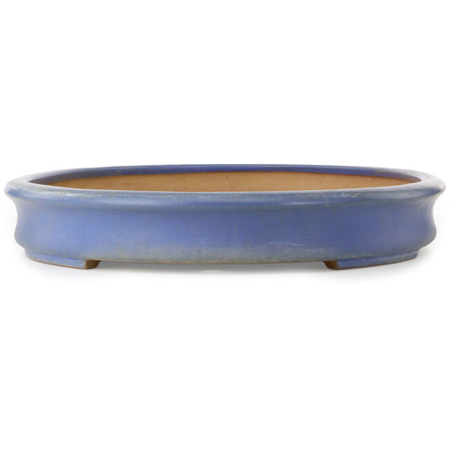 Ovaler blauer Bonsaitopf von Seizan (Reihou, Kataoka Katsushi, Meister Seizan-Ofen) – 635 x 460 x 73 mm