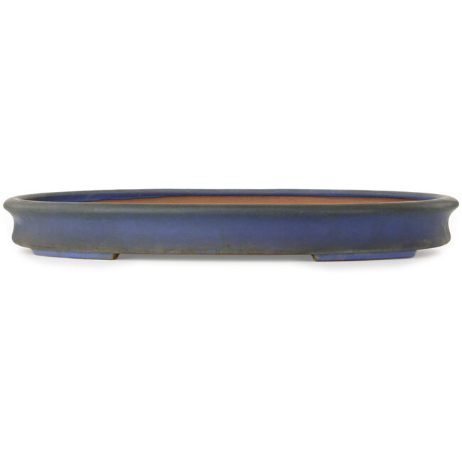 Vaso bonsai ovale blu di Seizan (Reihou, Kataoka Katsushi, forno del maestro Seizan) - 630 x 455 x 75 mm