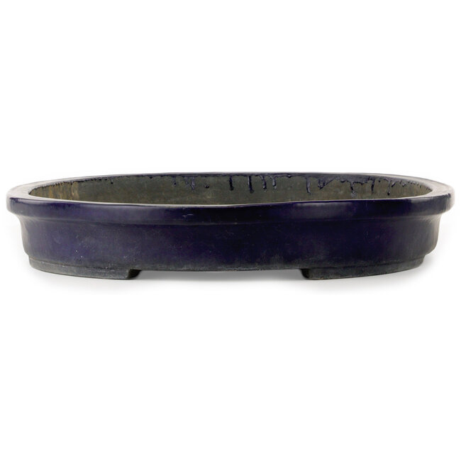 Oval blue bonsai pot by Aiba Koyou - 735 x 487 x 75 mm