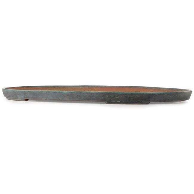 Oval teal bonsai pot by Seizan (Reihou, Kataoka Katsushi, master Seizan kiln) - 605 x 390 x 32 mm