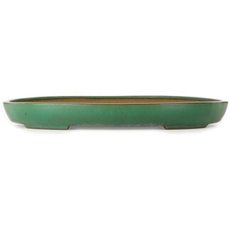  Yamafusa - Takehiko Koie Pot à bonsaï vert ovale de 550 mm par Yamafusa, Tokoname, Japon
