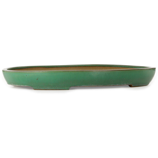 Vaso bonsai ovale verde di Yamafusa - 550 x 395 x 63 mm