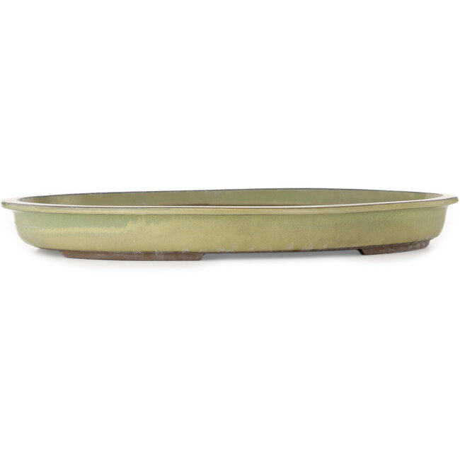 Oval green bonsai pot by Yohen - 560 x 420 x 63 mm