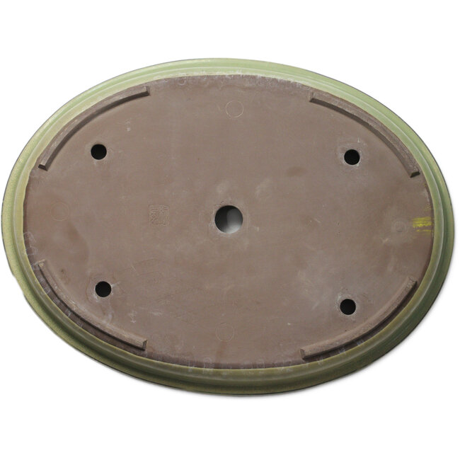 Maceta ovalada verde para bonsái de Yohen - 560 x 420 x 63 mm