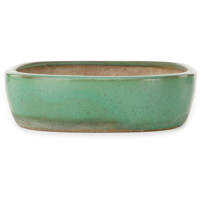 Maceta ovalada verde para bonsái de Yamafusa - 410 x 317 x 82 mm