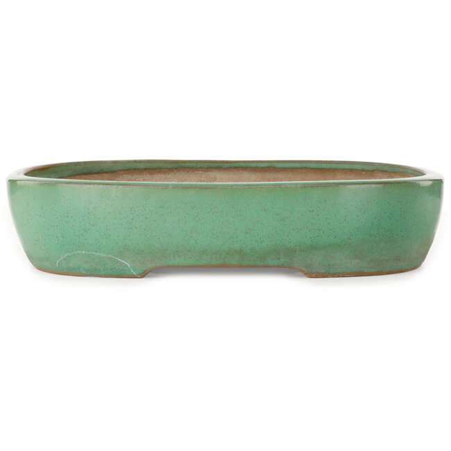 Oval green bonsai pot by Yamafusa - 410 x 317 x 82 mm