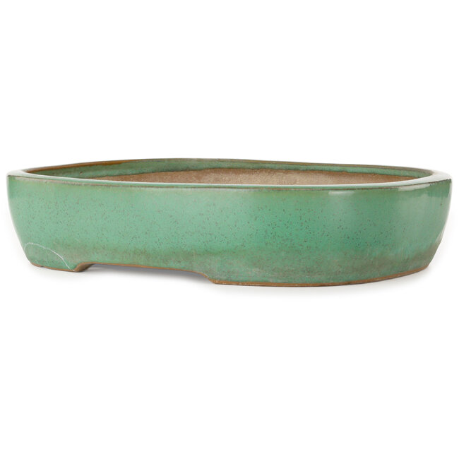 Ovale groene bonsaipot van Yamafusa - 410 x 317 x 82 mm