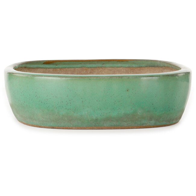 Oval green bonsai pot by Yamafusa - 410 x 317 x 82 mm