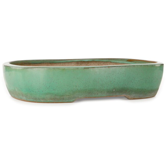 Ovale groene bonsaipot van Yamafusa - 410 x 317 x 82 mm