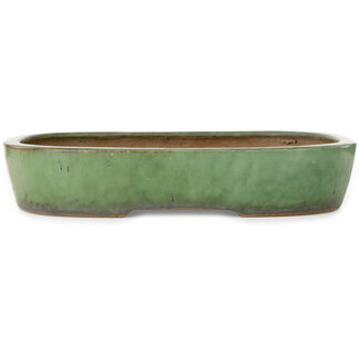  Shuuhou (Hidemi Kataoka) 473 mm oval green bonsai pot by Shuhou, Tokoname, Japan