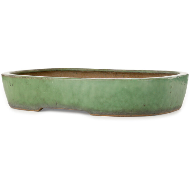 Maceta ovalada verde para bonsái de Shuhou - 473 x 360 x 85 mm