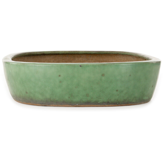 Maceta ovalada verde para bonsái de Shuhou - 473 x 360 x 85 mm